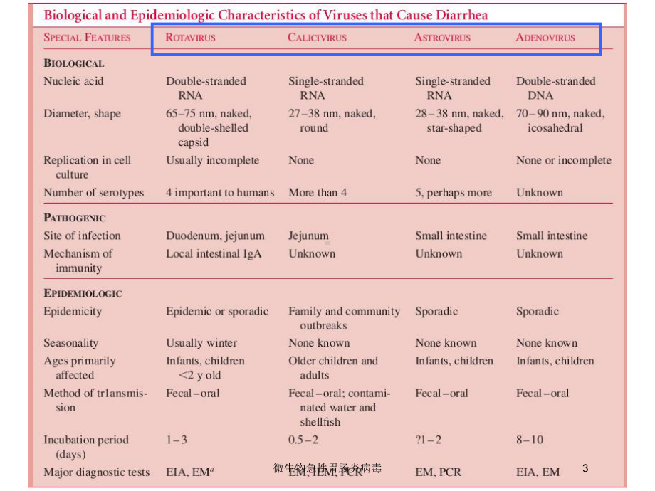 微生物急性胃肠炎病毒培训课件.ppt_第3页