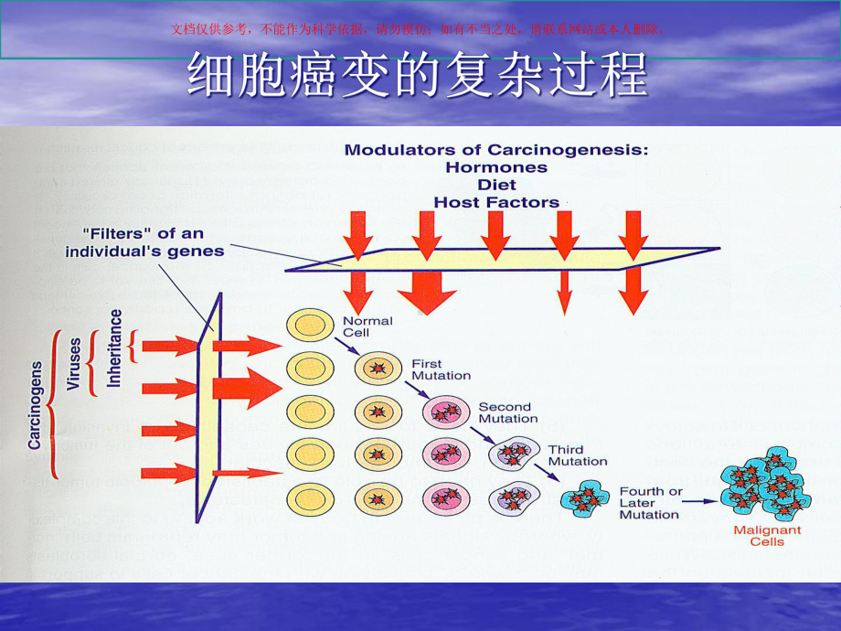 早期胃癌诊断和治疗课件.ppt_第1页