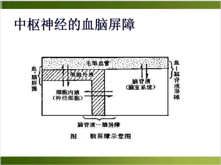 情境一中枢神经系统药物课件.ppt_第3页