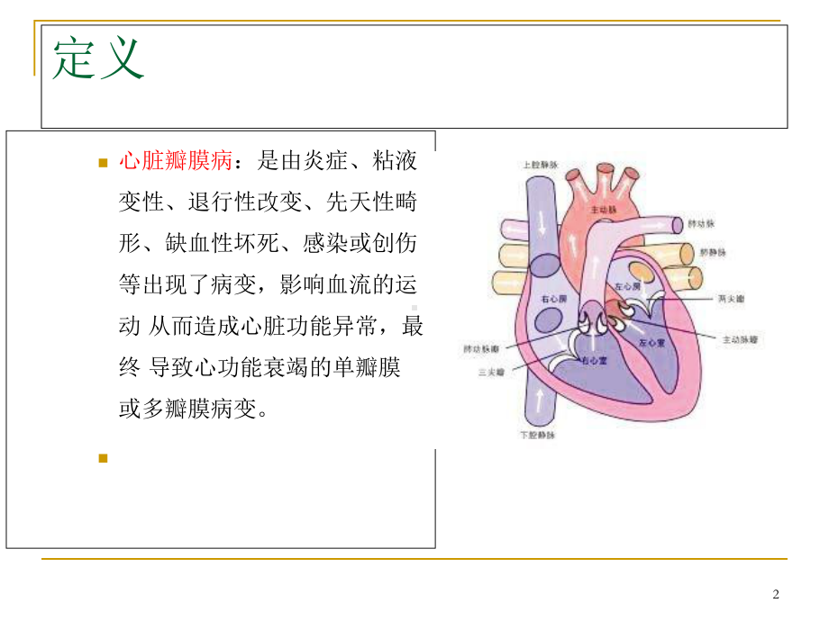 心脏瓣膜病的护理查房优质课件.ppt_第2页