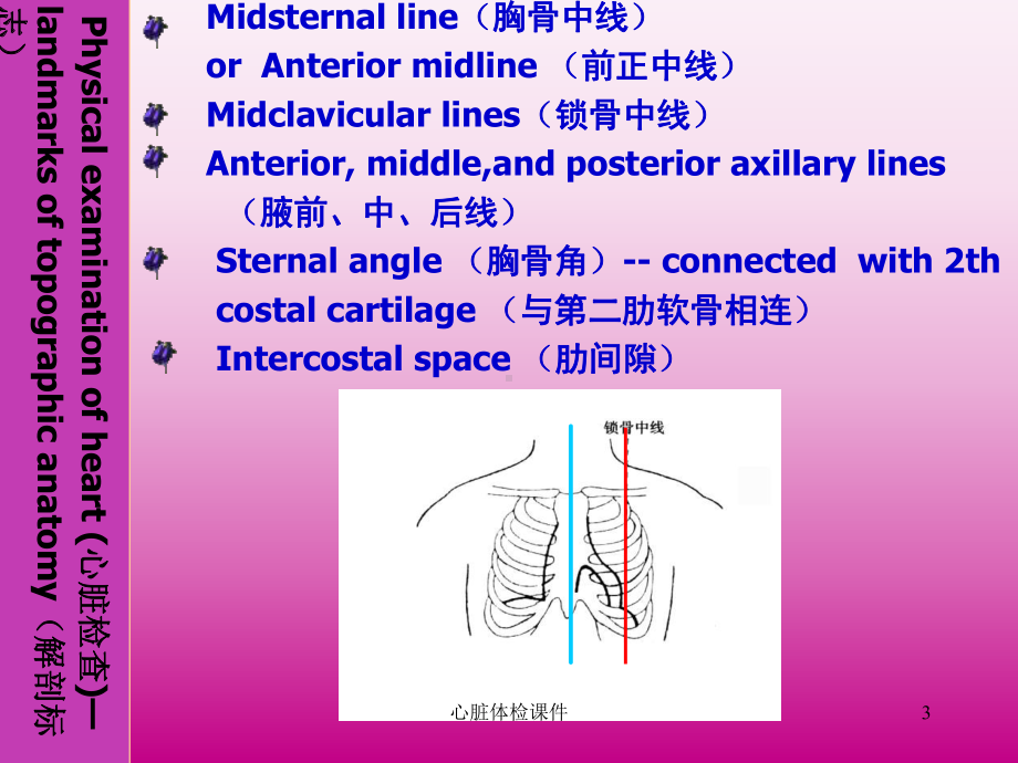 心脏体检课件.ppt_第3页