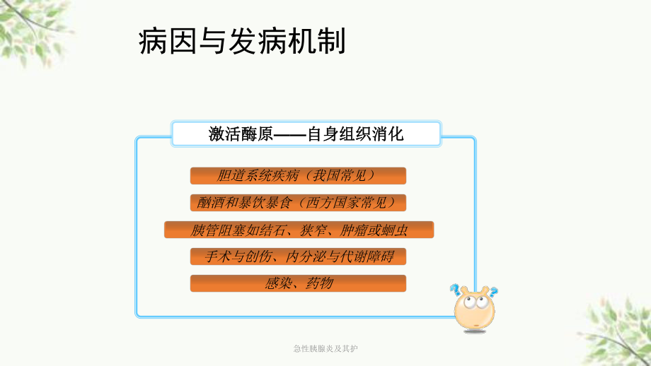 急性胰腺炎及其护课件.ppt_第3页