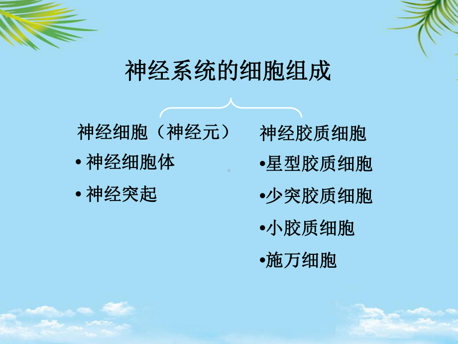 教培用药物对神经系统的毒性课件.ppt_第2页