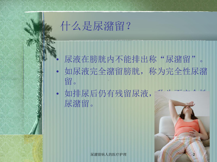 尿潴留病人的医疗护理培训课件.ppt_第2页