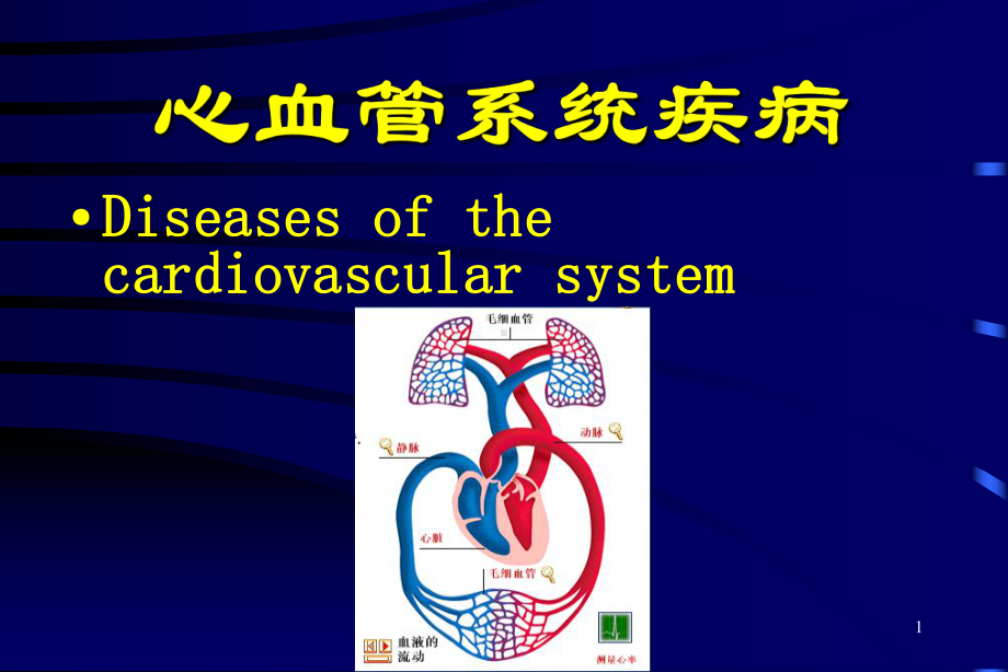 心血管系统疾病教学课件-2.ppt_第1页