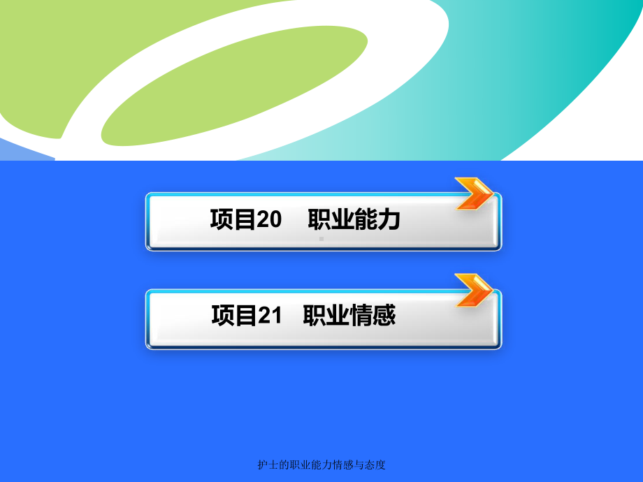 护士的职业能力情感与态度-课件.ppt_第3页