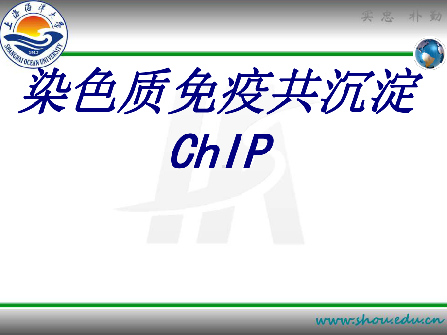 染色质免疫共沉淀ChIP培训课件.ppt_第1页