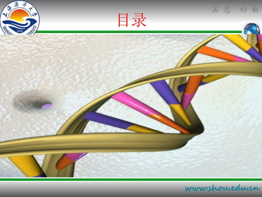 染色质免疫共沉淀ChIP培训课件.ppt_第2页