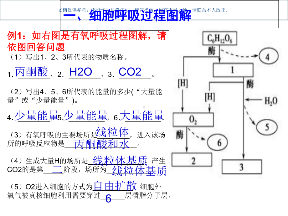 影响细胞呼吸作用的因素课件.ppt_第1页