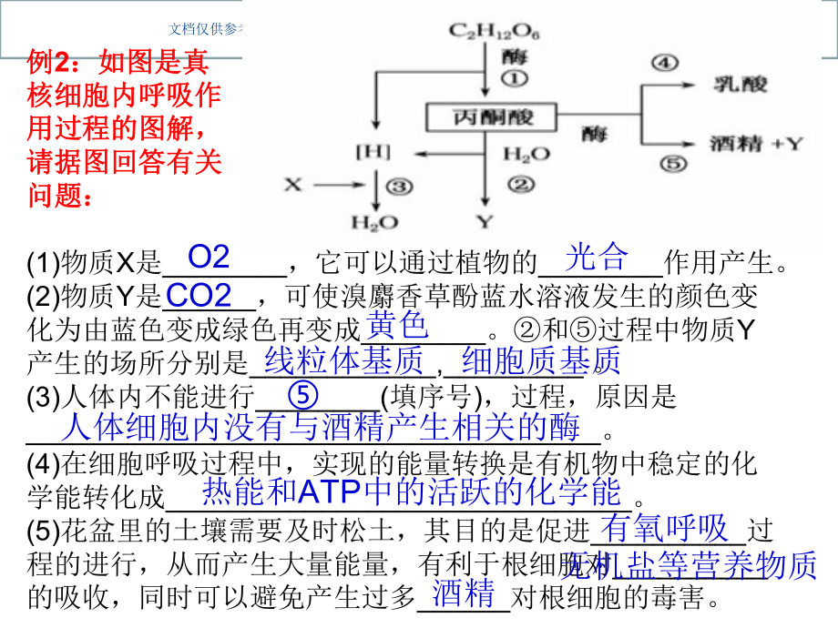 影响细胞呼吸作用的因素课件.ppt_第2页