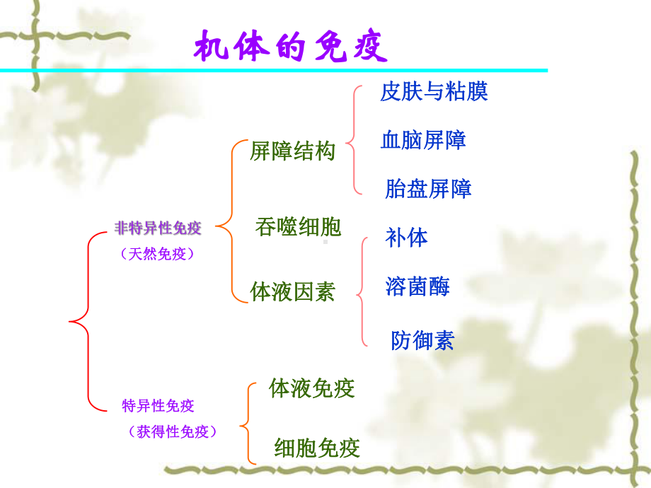 微生物学药学专业非特异性免疫课件.pptx_第1页