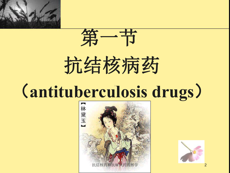 抗结核药和抗麻风药药理学培训课件.ppt_第2页