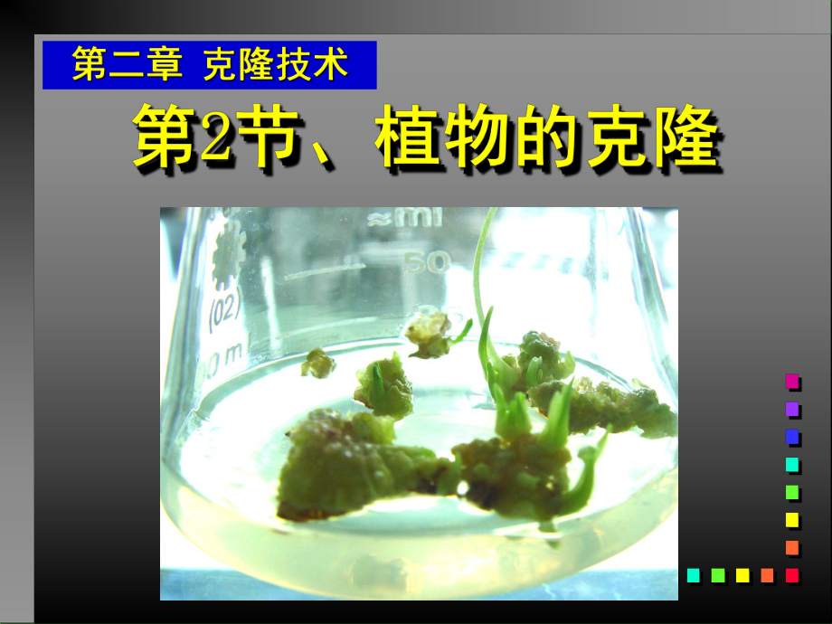 植物的克隆课件-浙科版.ppt_第1页