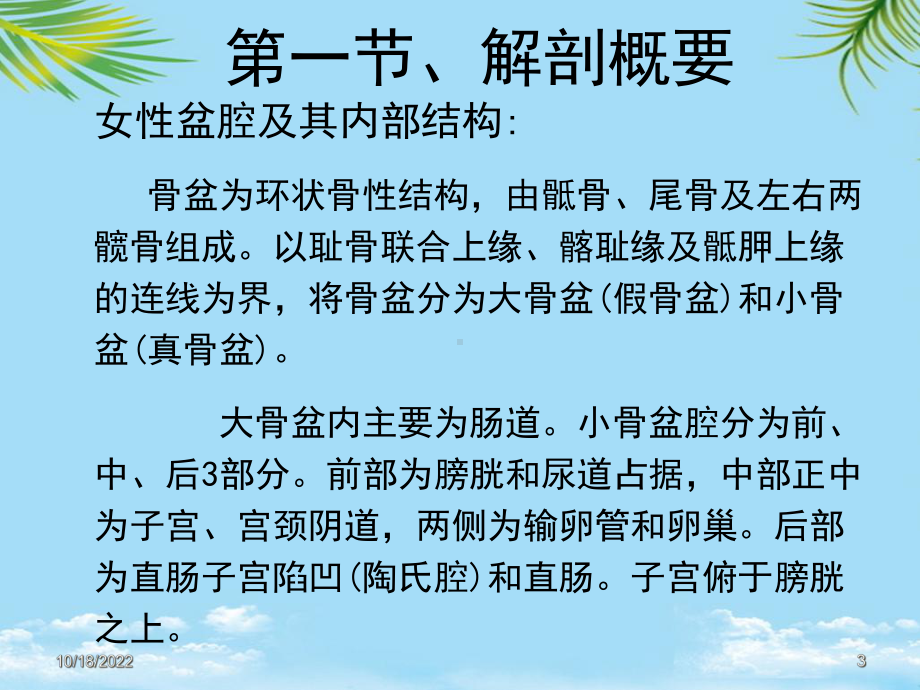 教培用超声诊断学妇科妇科检查解剖与正常声像图课件.ppt_第3页