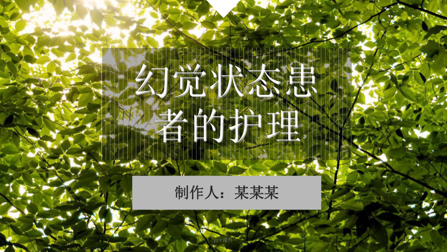 幻觉状态患者的护理-课件.ppt_第1页