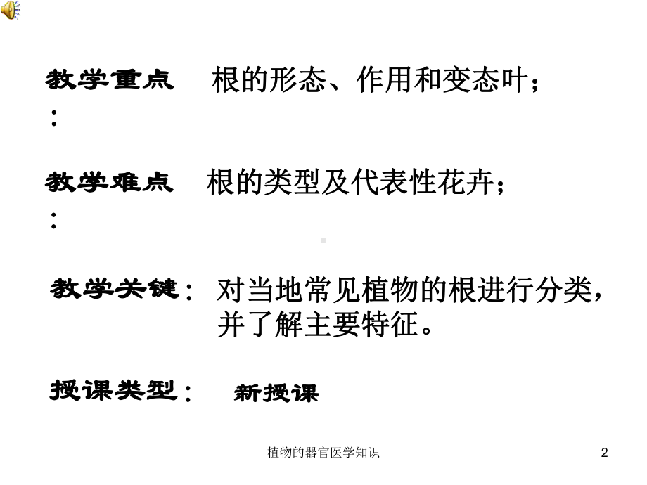 植物的器官医学知识培训课件.ppt_第2页