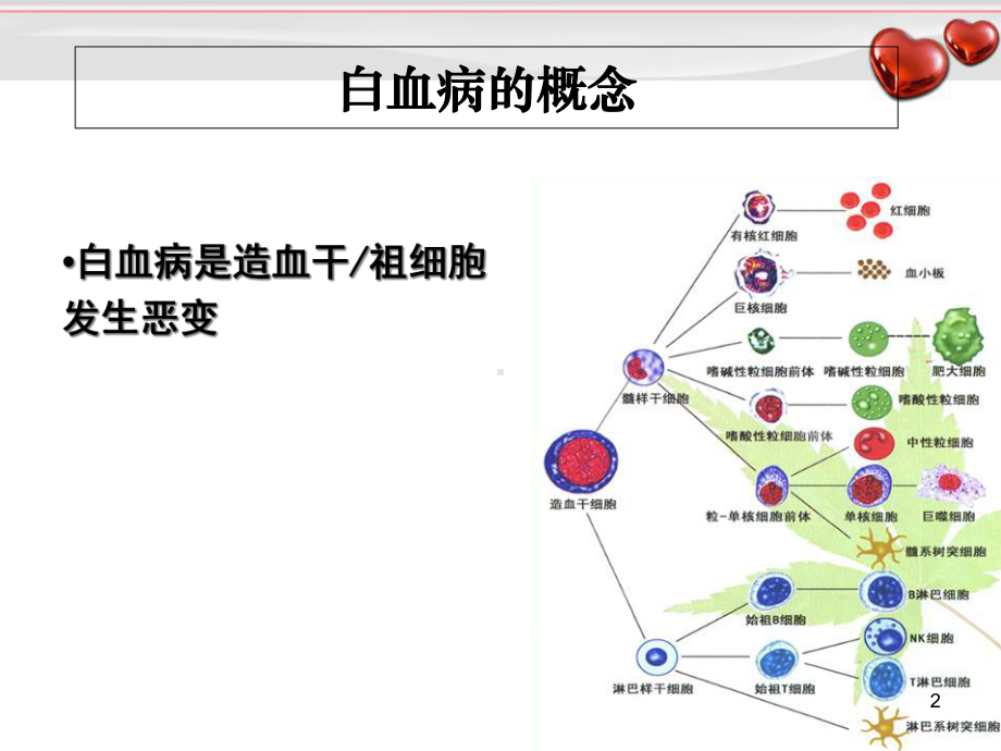 常见血液病急性白血病的MICM分型和预后学习课件.ppt_第2页