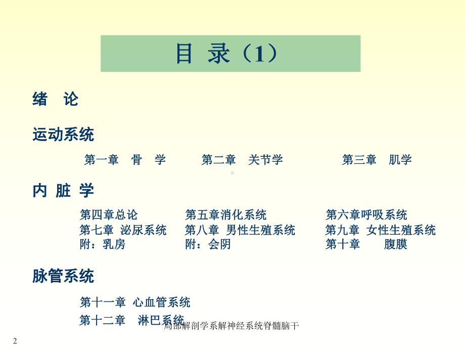 局部解剖学系解神经系统脊髓脑干课件.ppt_第2页