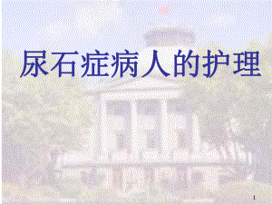 尿石症病人的护理《外科护理学》教学课件.pptx