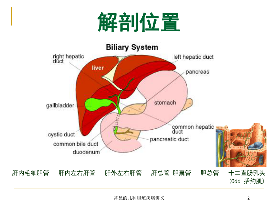 常见的几种胆道疾病讲义培训课件.ppt_第2页