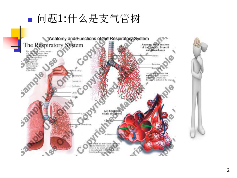 支气管扩张病人的护理汇总课件-2.ppt_第2页