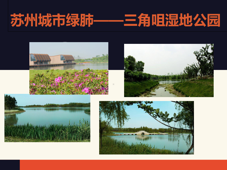 某湿地公园课件.ppt_第1页