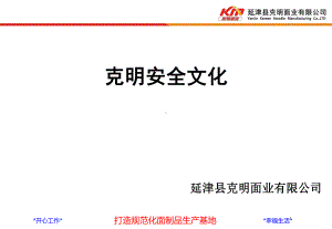 杜邦安全文化课件.ppt