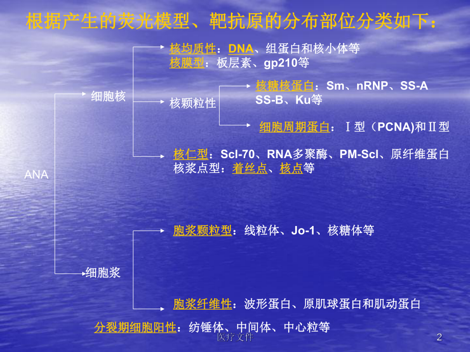 抗核抗体荧光片判读(医疗研究)课件.ppt_第2页