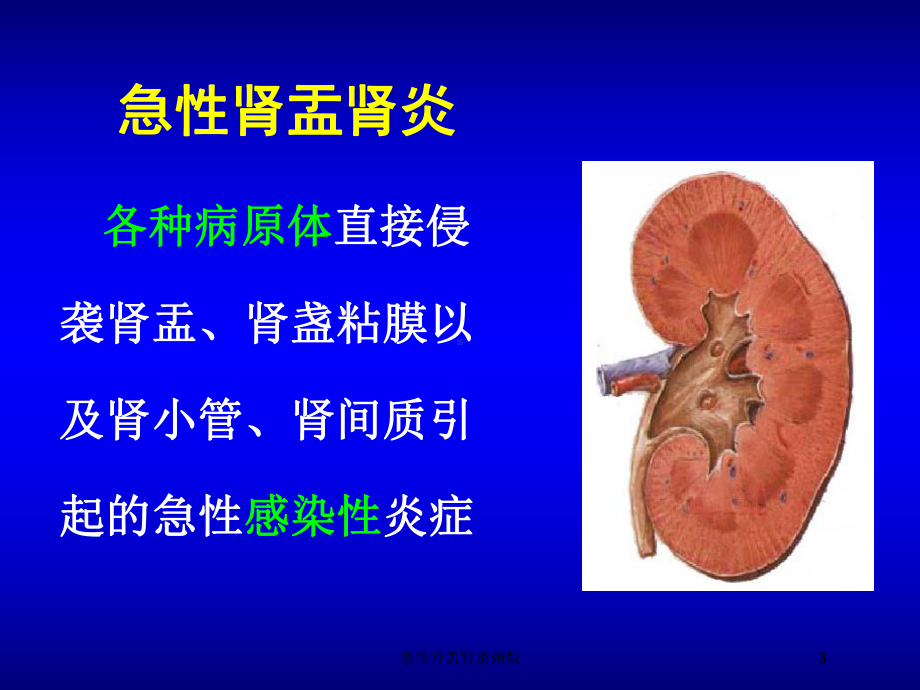 急性肾盂肾炎新版培训课件.ppt_第3页