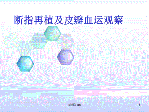 断指再植及血运观察骨外科医学课件.ppt