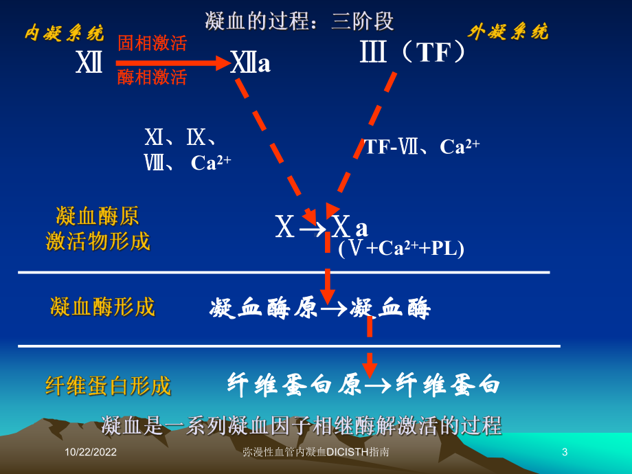 弥漫性血管内凝血DICISTH指南课件.ppt_第3页