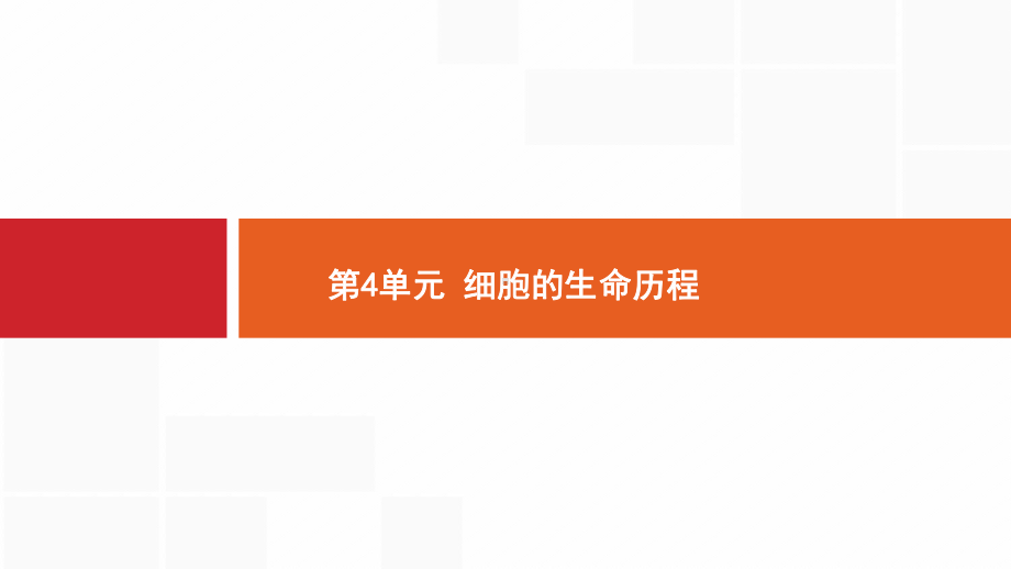 新设计生物人教大一轮复习课件：小册子-第4单元-.pptx_第1页