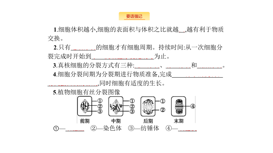 新设计生物人教大一轮复习课件：小册子-第4单元-.pptx_第2页