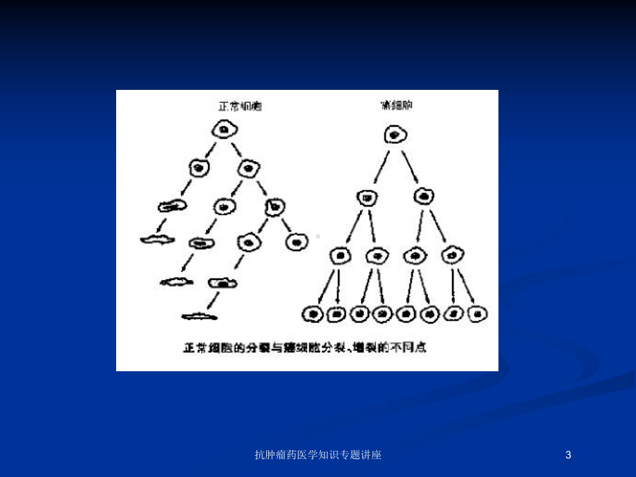 抗肿瘤药医学知识专题讲座培训课件.ppt_第3页