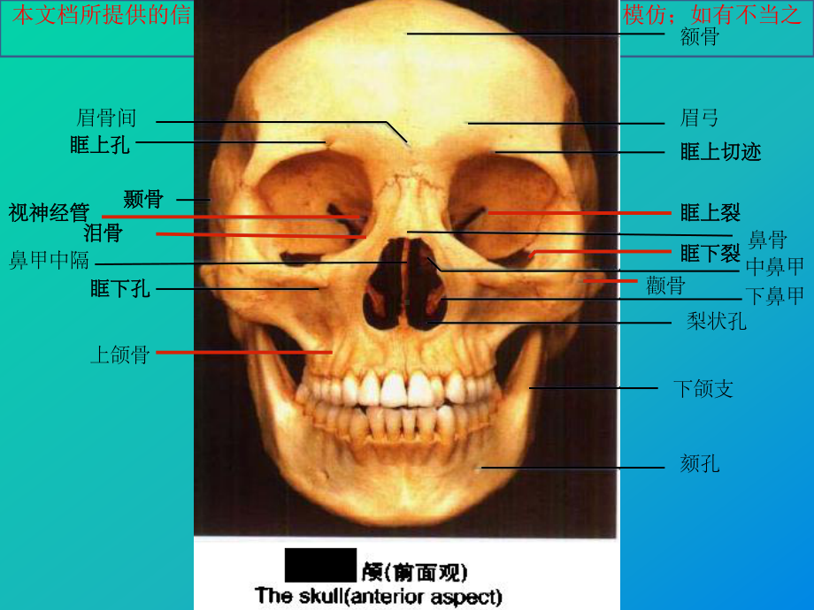 常见眶内肿瘤影像诊疗和鉴别诊疗培训课件.ppt_第3页