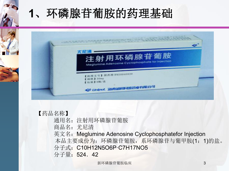 新环磷腺苷葡胺临床培训课件.ppt_第3页