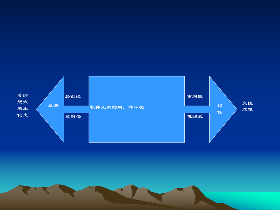 应与损伤课件.ppt_第3页