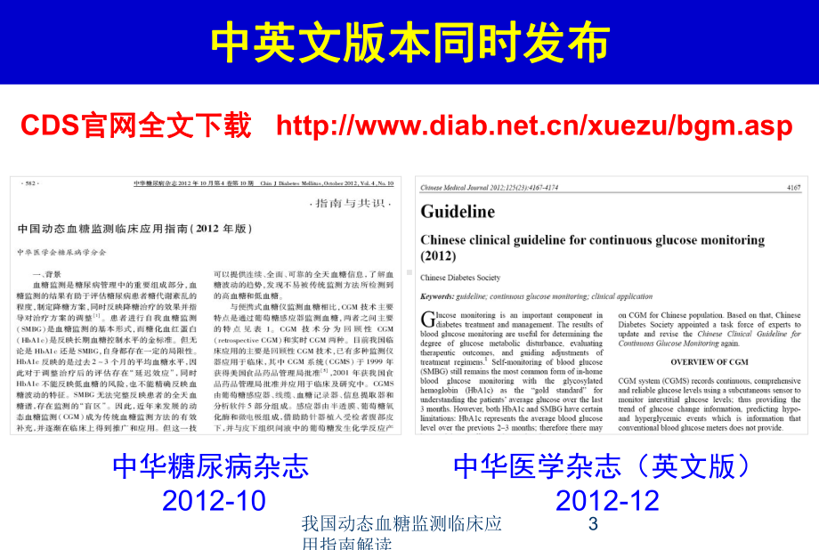 我国动态血糖监测临床应用指南解读培训课件.ppt_第3页