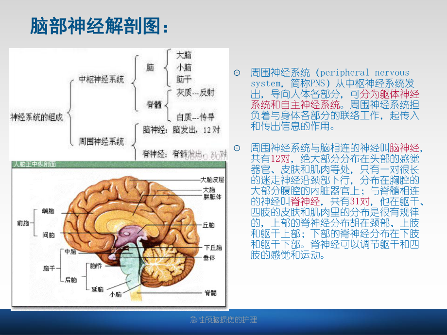 急性颅脑损伤的护理课件.ppt_第2页