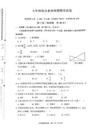 湖北省武汉市洪山区2022-2023学年 七年级上学期综合素质检测数学试卷（开学考试）.pdf