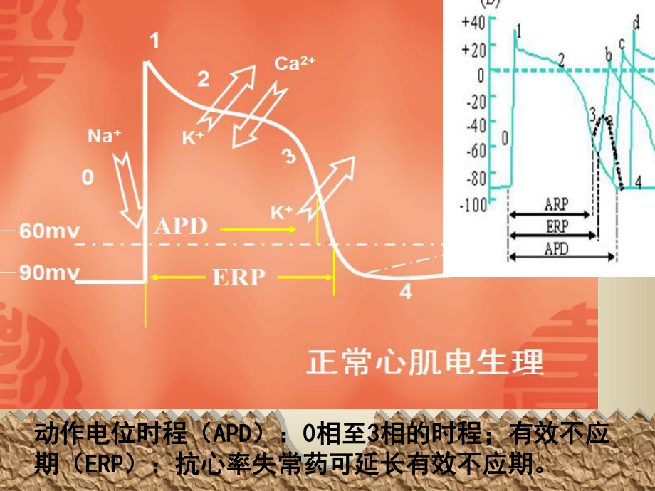 抗心律失常药医学知识课件.ppt_第3页