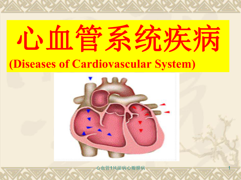 心血管1风湿病心瓣膜病课件.ppt_第1页