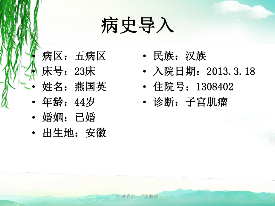 护理查房—子宫肌瘤课件.ppt_第2页