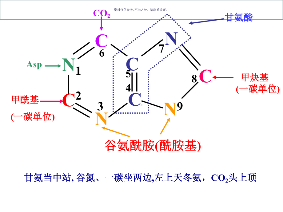 核苷酸代谢医学宣教课件.ppt_第3页