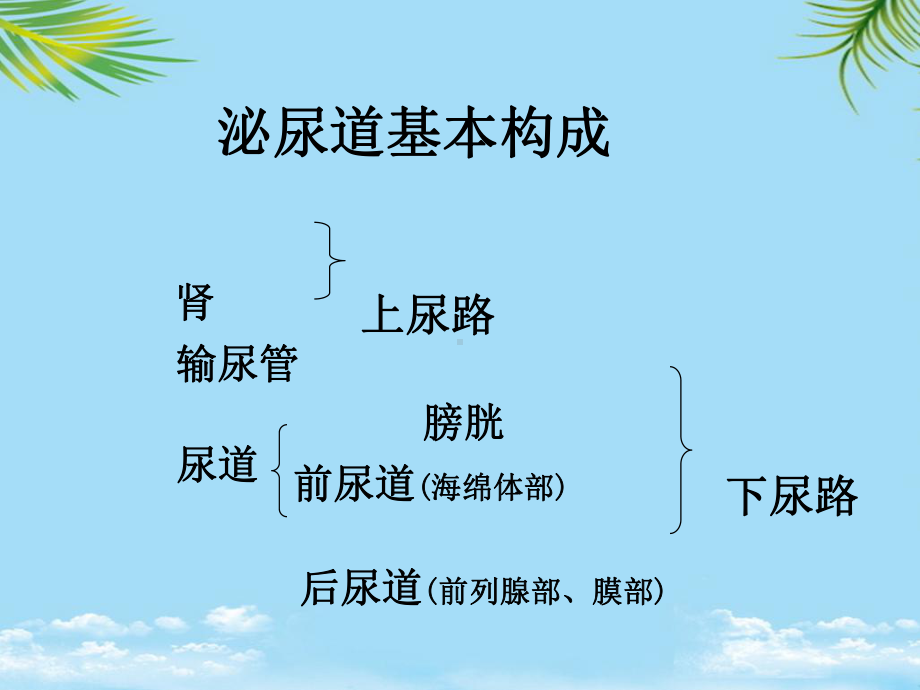 教培用血尿水肿意识障碍课件.ppt_第2页