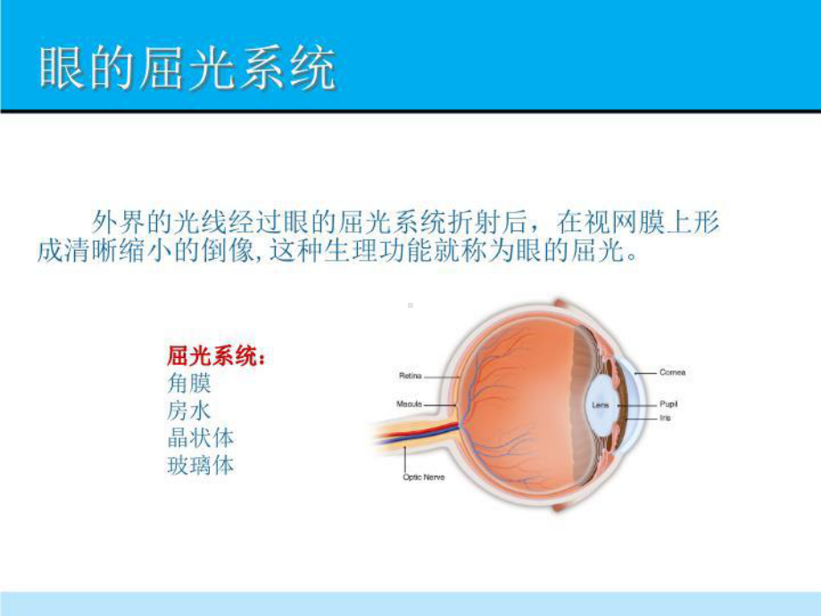 屈光不正诊治-课件.ppt_第2页