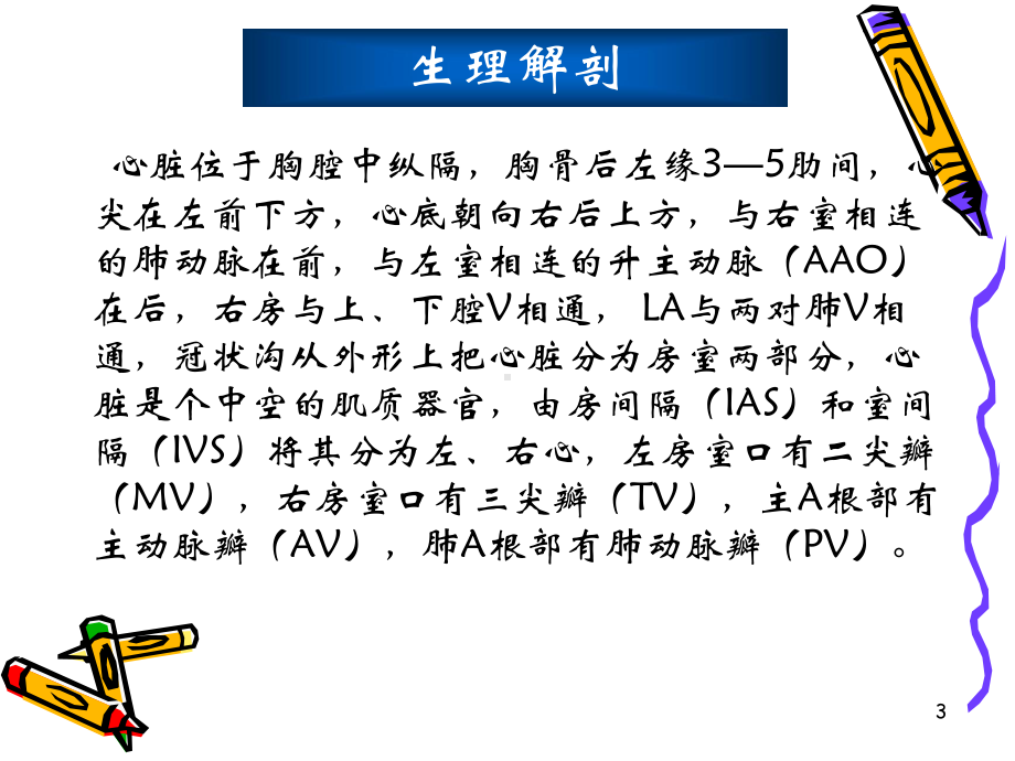 心脏超声诊断参考课件.ppt_第3页