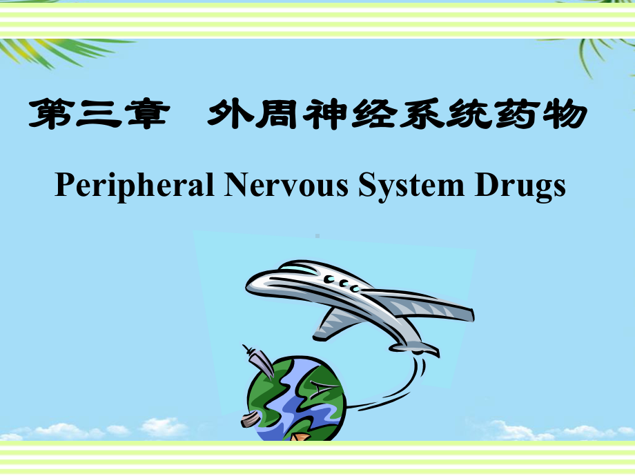 教培用药物化学外周神经系统药物课件-2.ppt_第2页