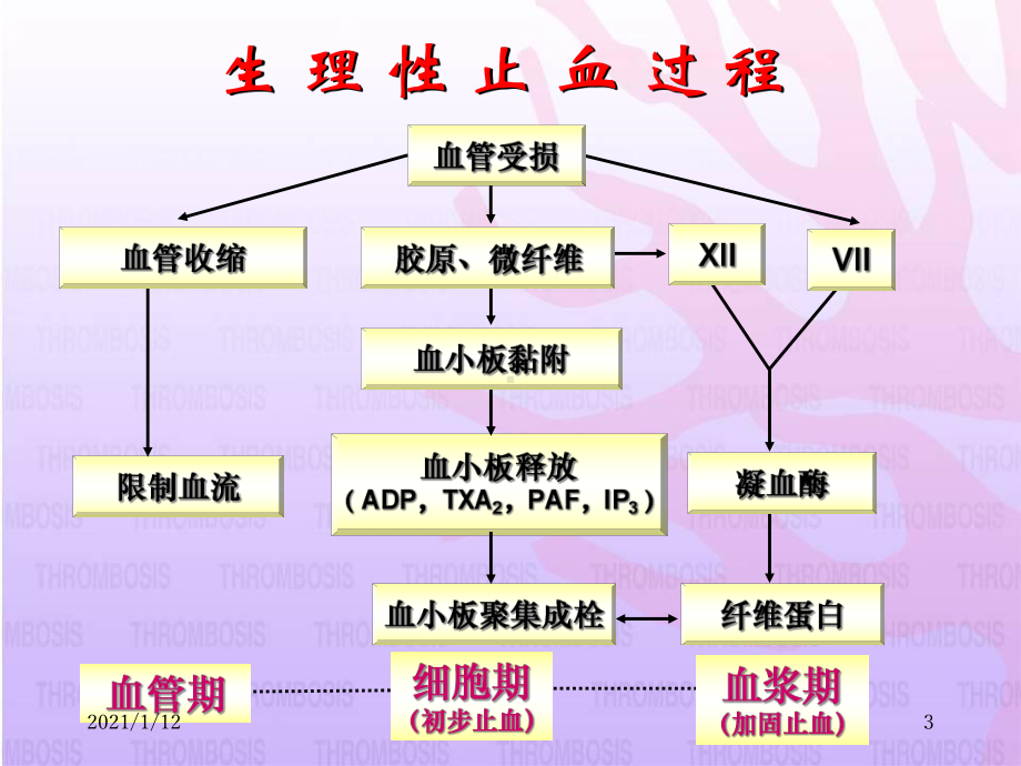 抗血小板药的临床选择课件.ppt_第3页