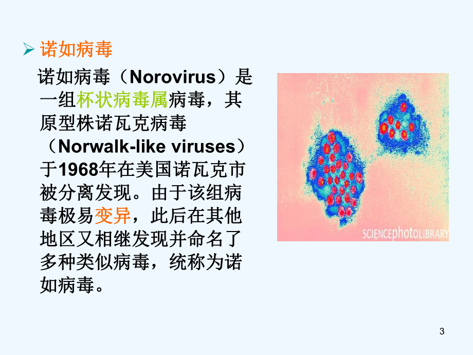 感染性腹泻防控课件.ppt_第3页